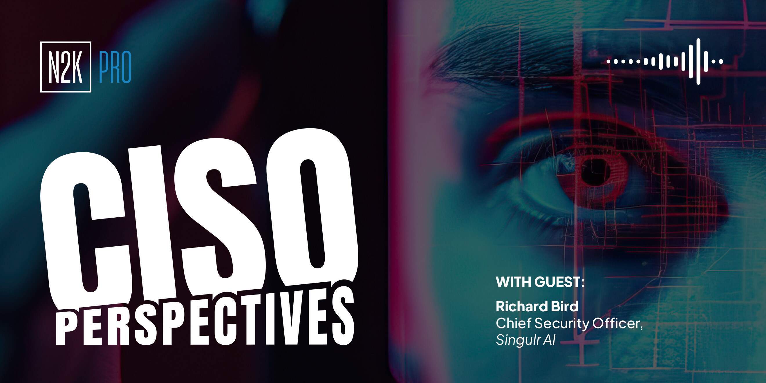 CISO Perspectives (Pro) 10.28.25