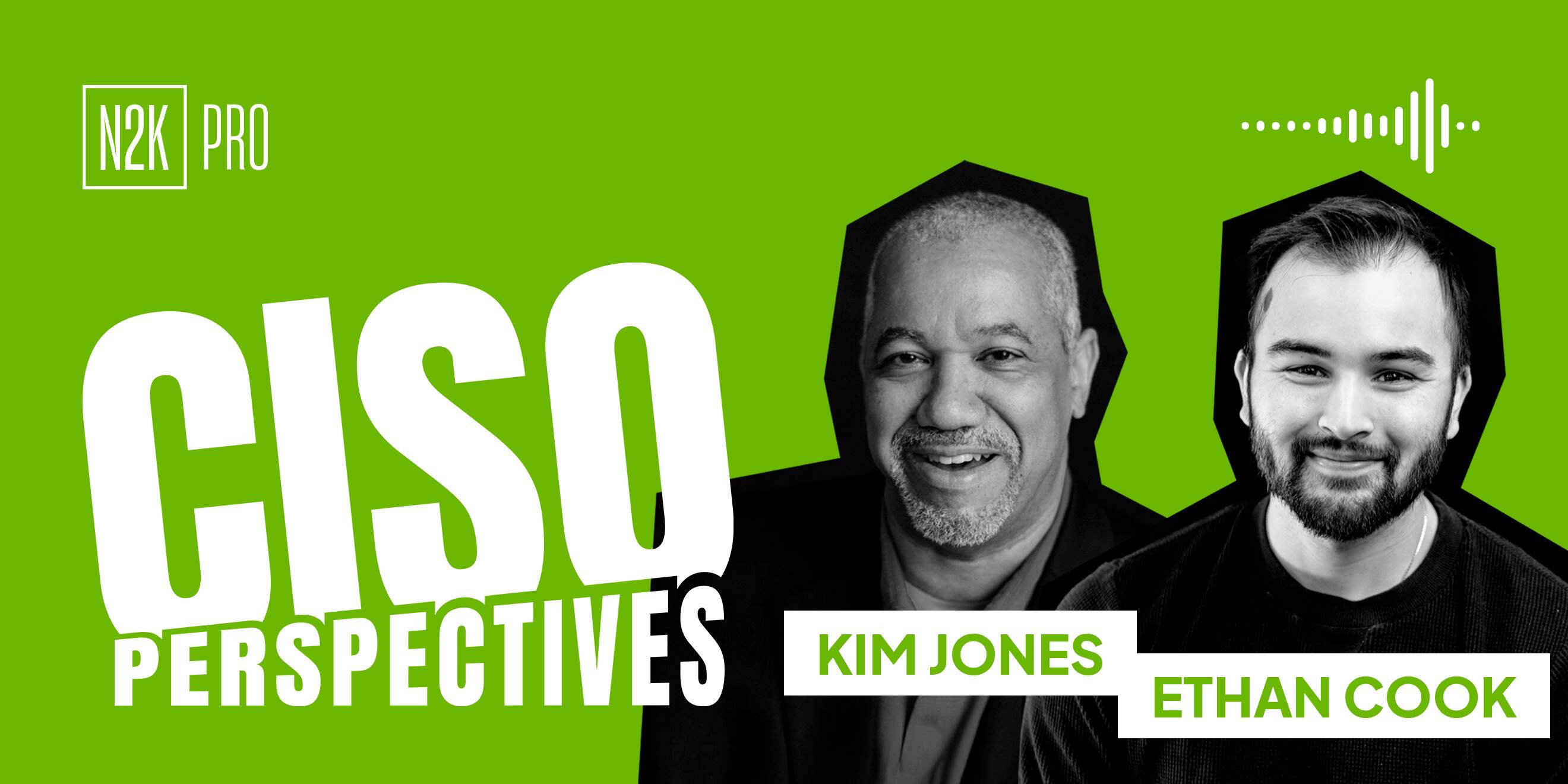 CISO Perspectives (Pro) 11.4.25