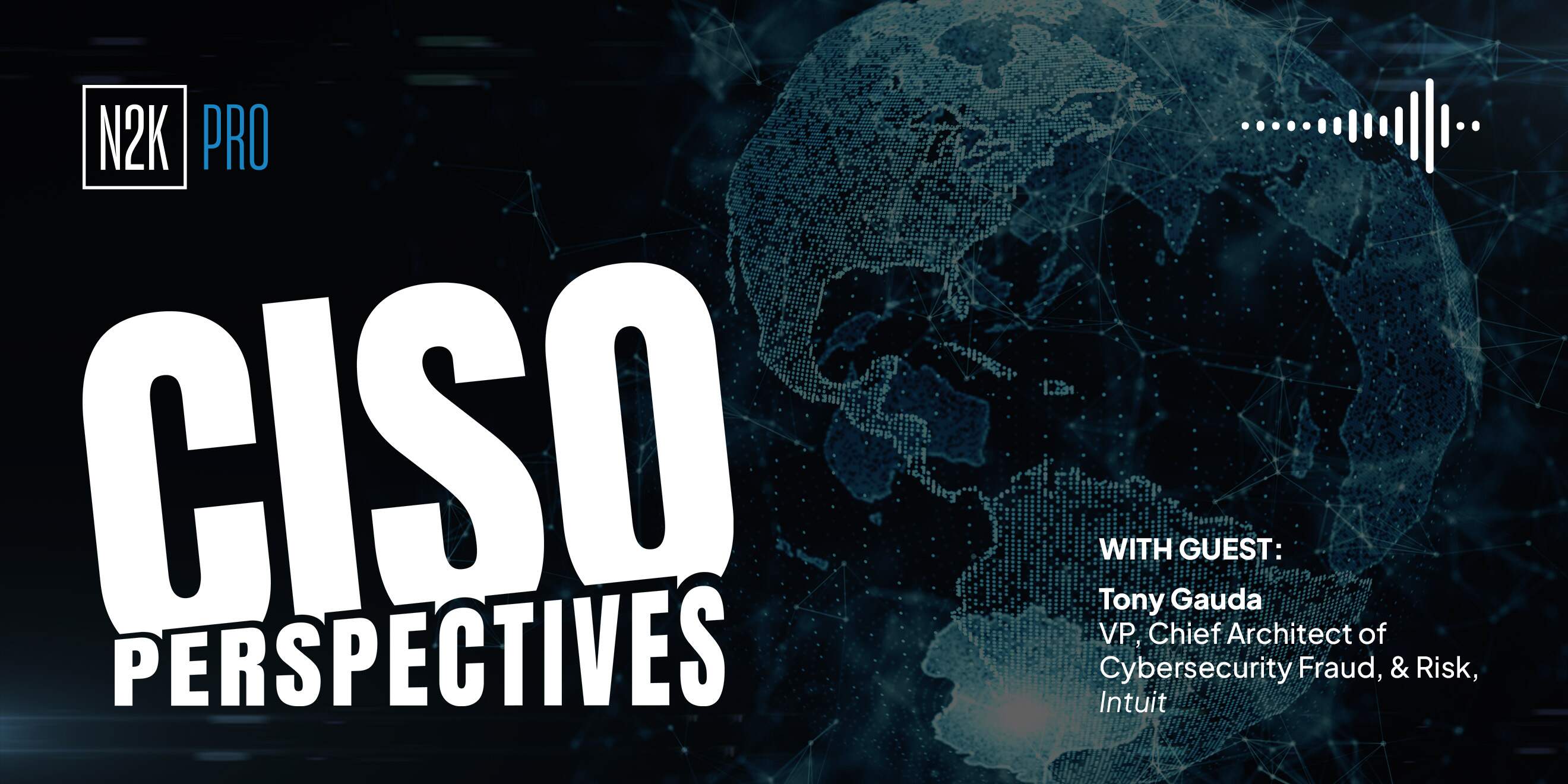 CISO Perspectives (Pro) 11.25.25