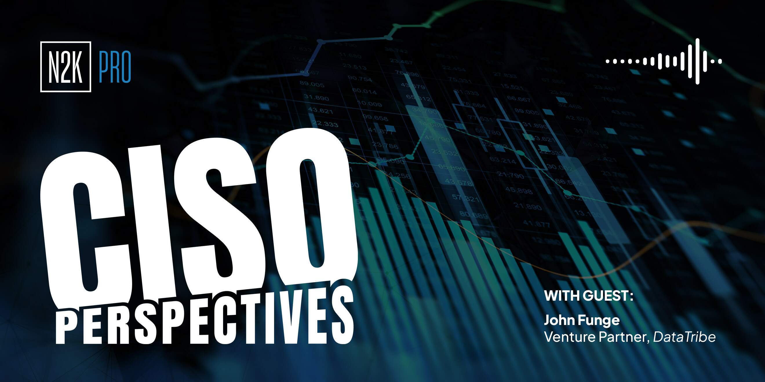 CISO Perspectives (Pro) 12.9.25
