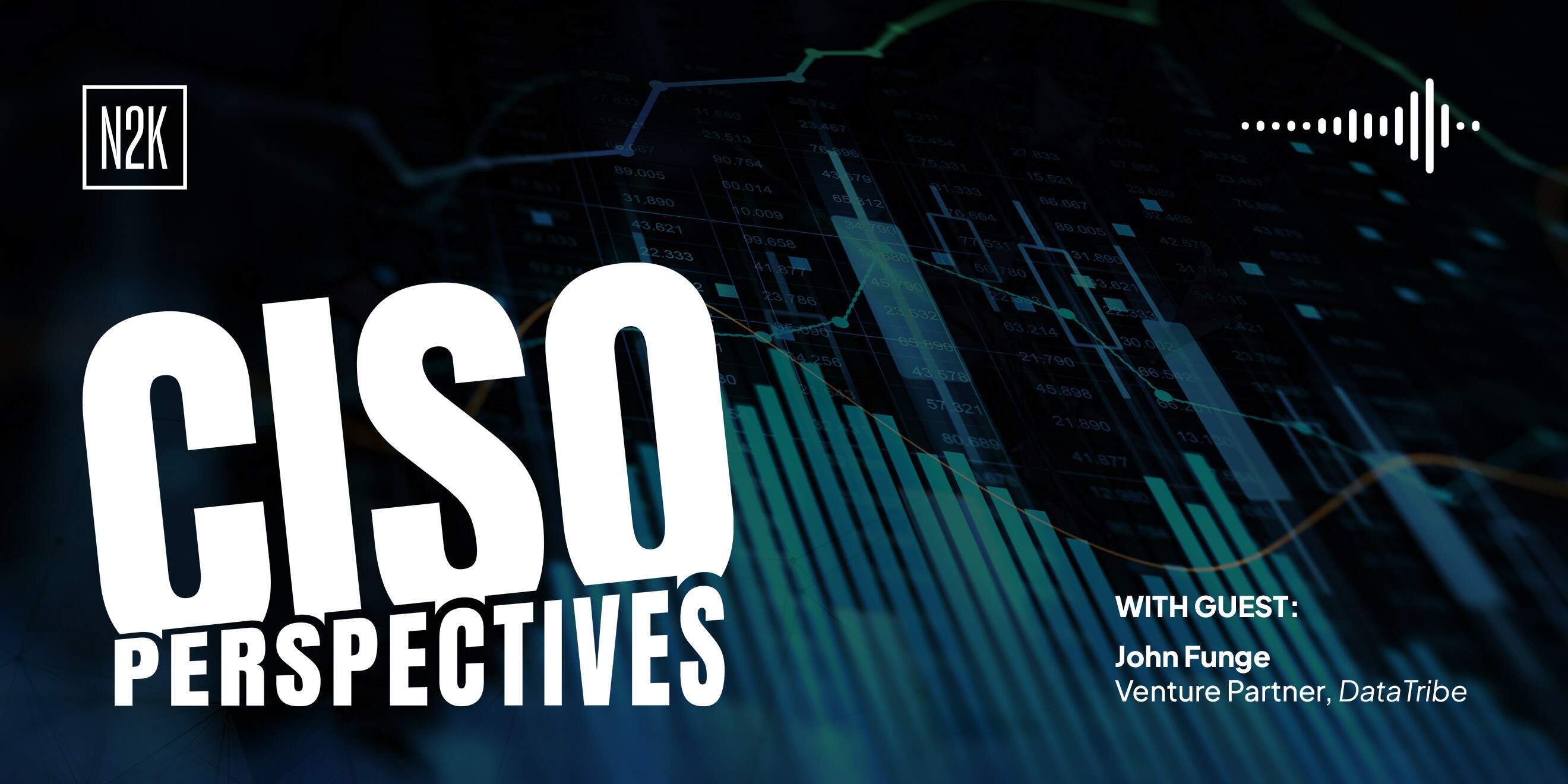 CISO Perspectives (public) 12.23.25